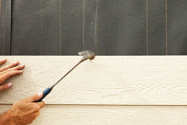 Best Siding Painting and Refinishing  in Toast, NC